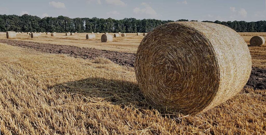 Bauen in der Landwirtschaft – Feld für Architekten und Bauingenieure - bau-plan-asekurado