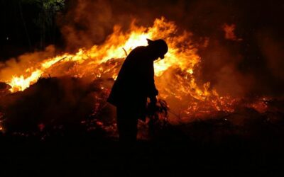 Brandschutzordnung – richtiges Verhalten im Brandfall