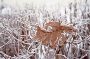 Frostempfindlichkeit von Böden – Bebauung und Schutz