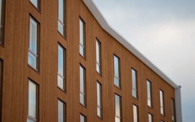 Holzbau boomt: Was bedeutet dies für Architekten?