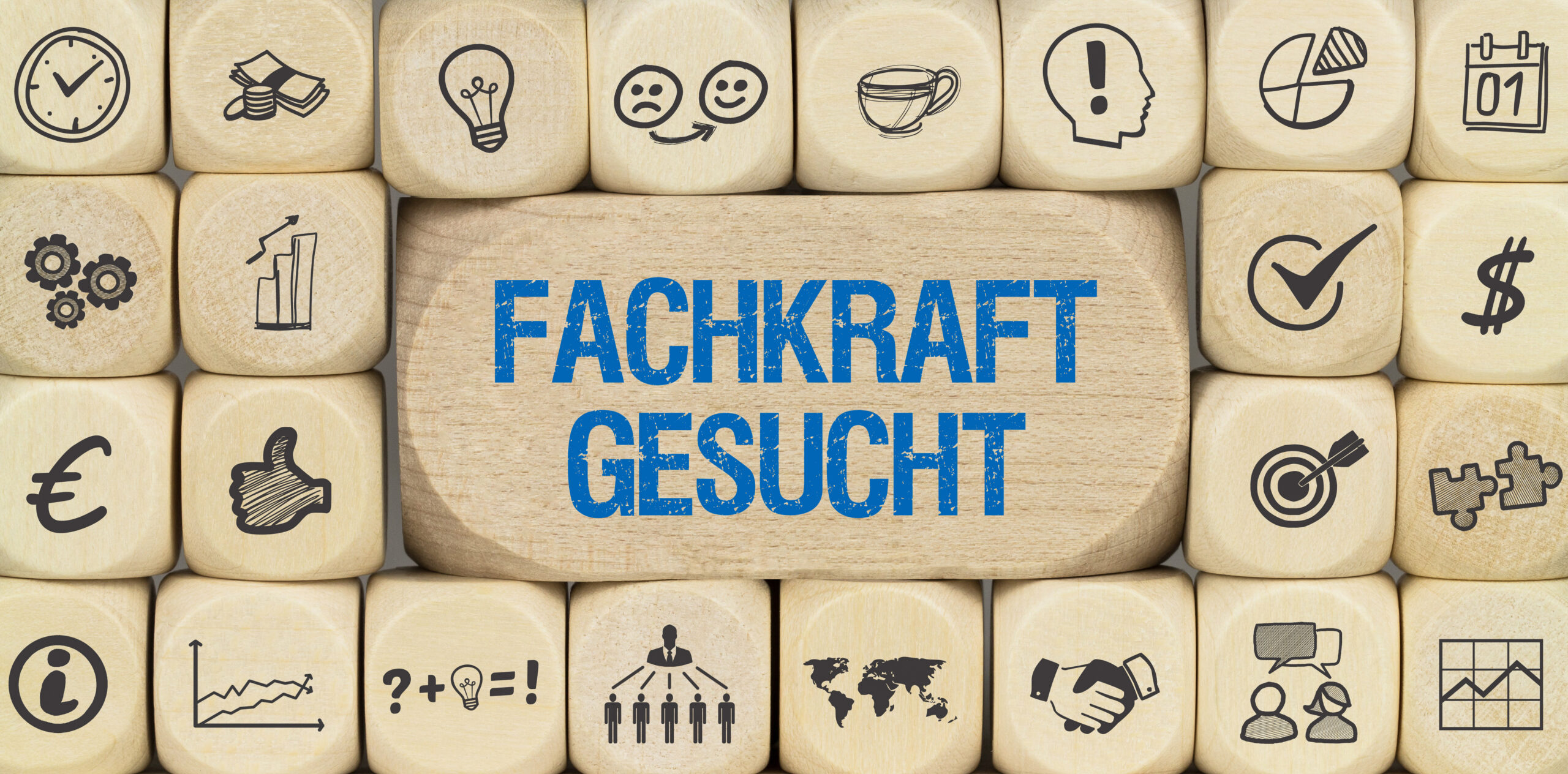 Fachkräfteeinwanderungsgesetz